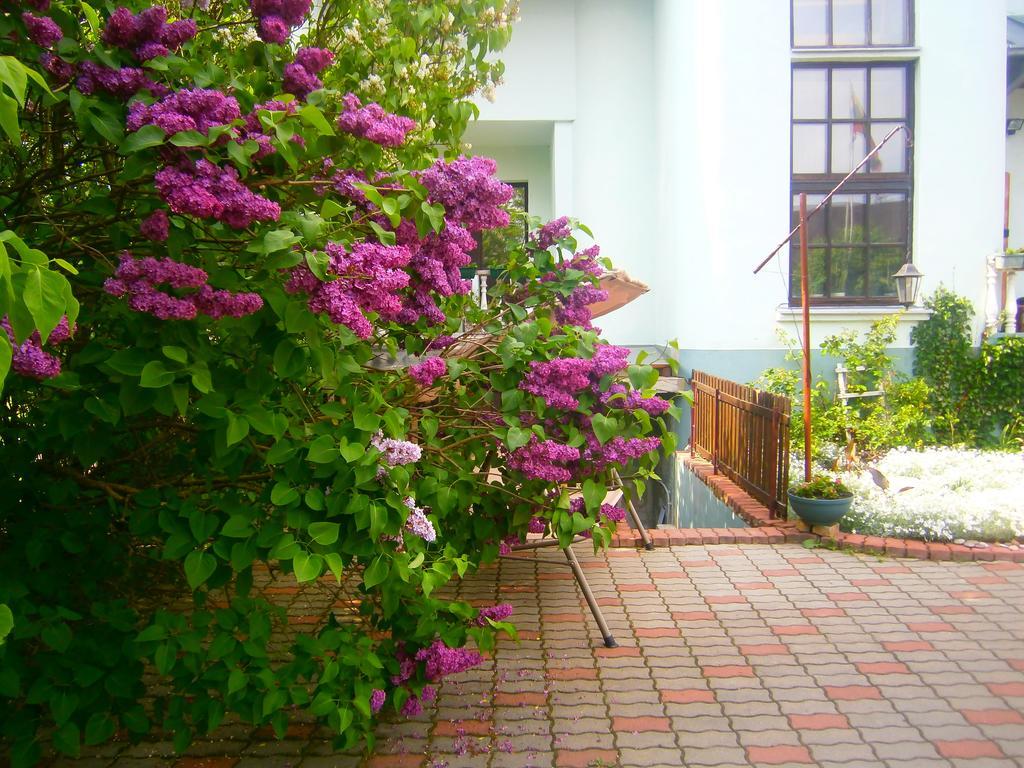 Nemunas Tour Residence Рингаудай Экстерьер фото